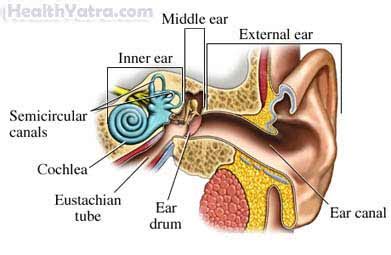 Barotrauma Definition, Causes, Symptoms, Complications and Cost Surgery ...