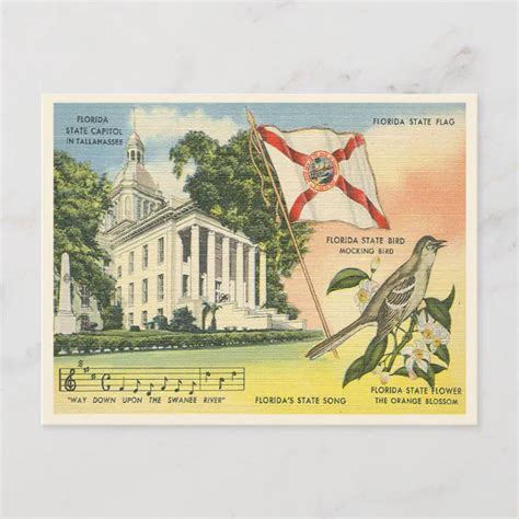 Florida State Symbols Vintage Tallahassee Postcard Zazzle