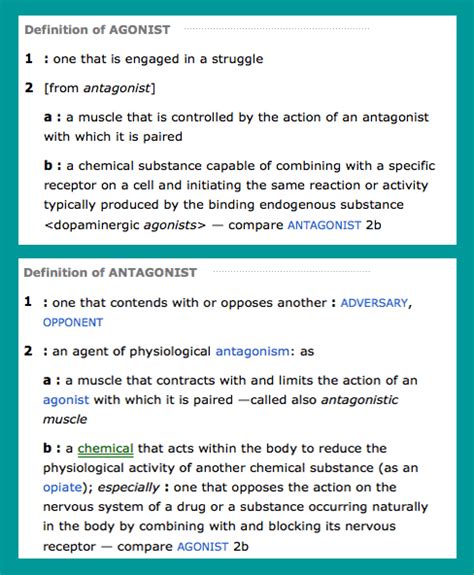 A Daily Dose of Fit: What are agonist and antagonist muscles? (plus, a ...