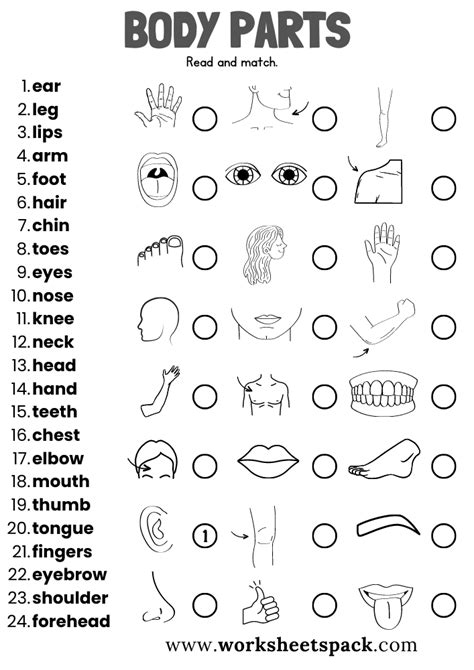 Body Parts Worksheets Worksheetspack Body Body Parts Worksheets