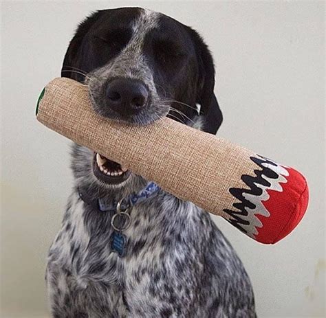 Hemp Joint Cigarette Dog Toy Etsy