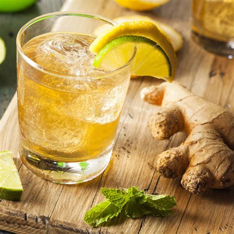 Ginger Beer Ansatz Ingwerbier Selber Machen Jetzt Bestellen