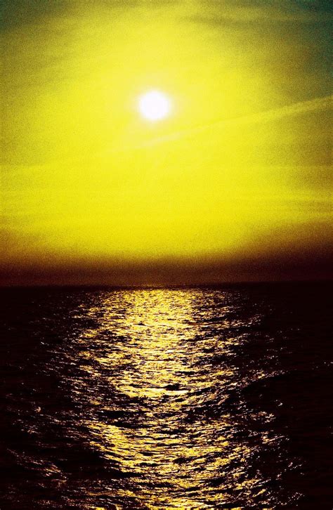 yellow sunset Free Photo Download | FreeImages