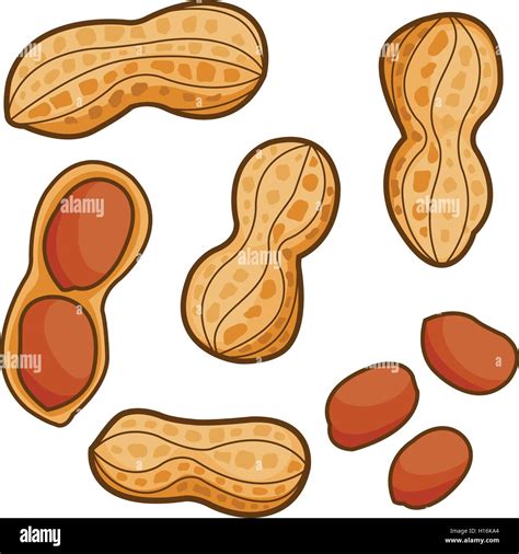 Peanuts Cartoon Hi Res Stock Photography And Images Alamy
