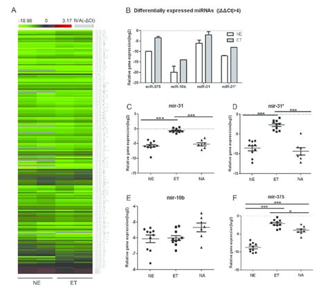 Differentially Expressed Mirnas A Mirna Expression Profiles Mirna