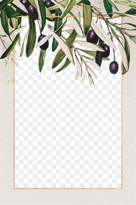 Olive Branches Frame Png Hand Free Png Rawpixel