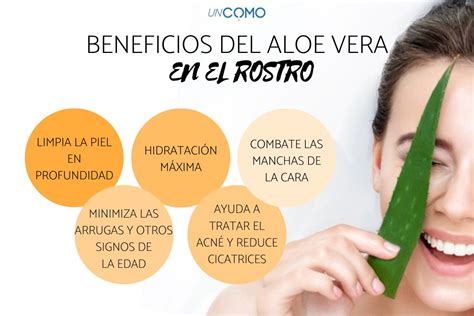 Cómo aplicar aloe vera en la cara No te pierdas los mejores