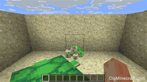 How to Hatch Turtle Eggs in Minecraft