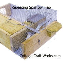 Deluxe Humane Repeating Sparrow Trap