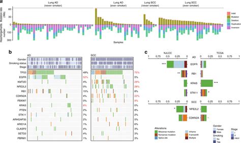 Distinct Mutation Patterns In Chinese Nsclc Patients A Loads Of