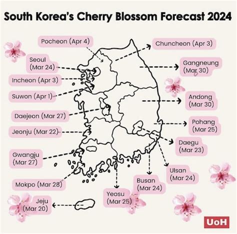 According To The Korea Forest Service The Cherry Blossom Season In