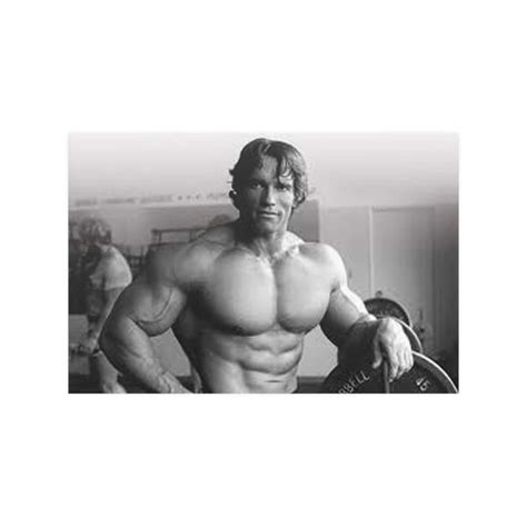 Arnold Schwarzenegger Black And White Poster The Golden Era Premium