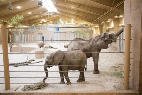 Omaha Zoo Announces Details Of New 20 Million Asian Highlands Exhibit