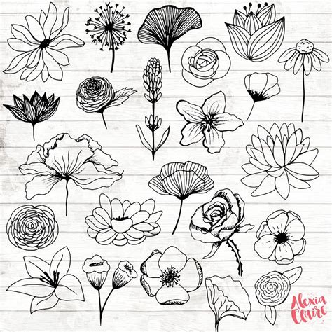 Flowers Clipart 23 Hand Drawn Floral Cliparts Realistic Etsy In 2021