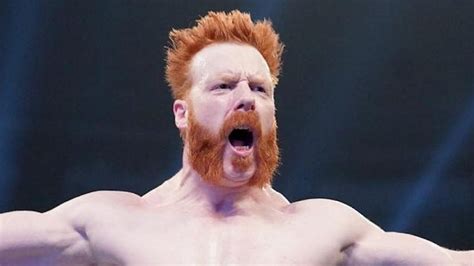 Sheamus Names His Two Remaining Goals In WWE