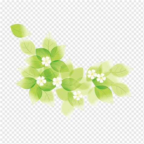 Light Green Grow Light Flower Petal Grow Light Green Flower Png