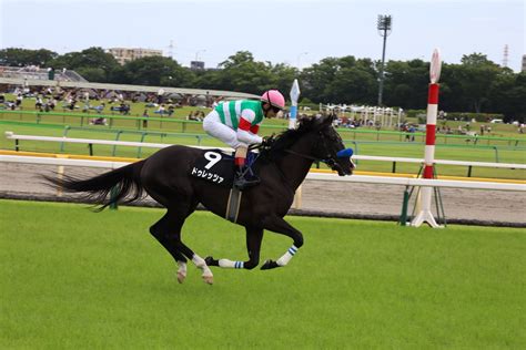 うぃんぐ羽馬 On Twitter メンバー中唯一の上がり327秒。ドゥラメンテ産駒がまた一頭重賞戦線に入ってきそう。 ドゥレッツァ