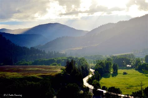 Ferry County, Washington State, U.S.A.: Curlew Washington