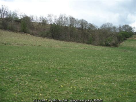 Pastureland By The River Michael Dibb Geograph Britain And Ireland