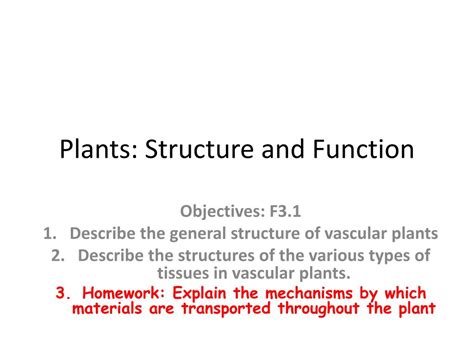 Ppt Plants Structure And Function Powerpoint Presentation Free