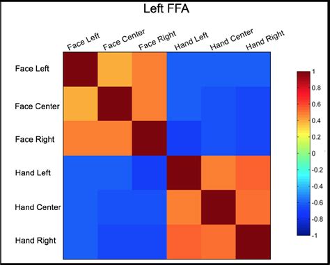 Tutorial 9 MVPA RSA NEWBI 4 FMRI