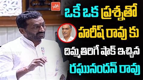 Mla Raghunandan Rao Raises Powerfull Questions To Minister Harish Rao