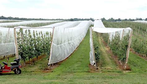 Net Works For New York Growers Good Fruit Grower