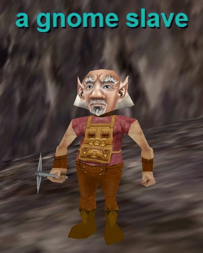 A Gnome Slave Project 1999 Wiki