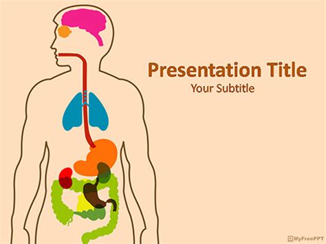 Anatomy PowerPoint Template