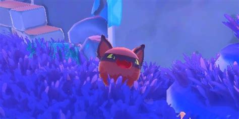 Slime Rancher 2 Basic Slimes Guide Gamers Grade