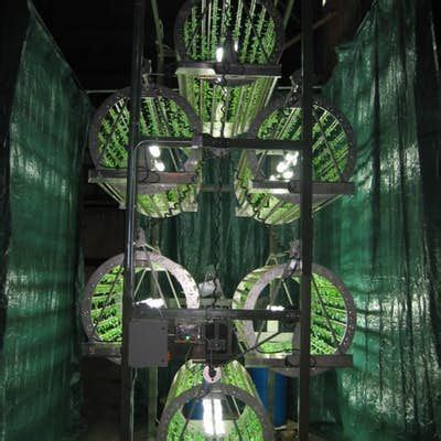 Volksgarden Is A Hi Tech Hydroponics Ferris Wheel Vertical Farming