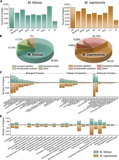 Frontiers Comparative Transcriptome Analysis Reveals Deep Molecular