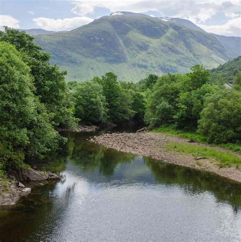 Fish Lochaber River Nevis