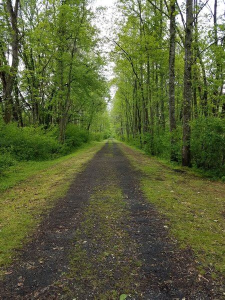 Salt Trail Mountain Bike Trail, Glade Spring, Virginia