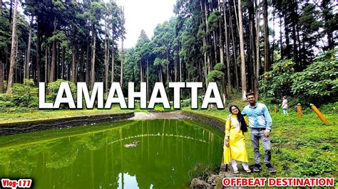 Lamahatta Offbeat Darjeeling Lamahatta Eco Park লমহটট