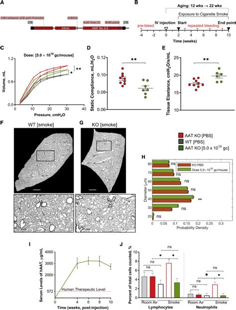 Liver Directed Serpina Gene Therapy Attenuates Progression Of