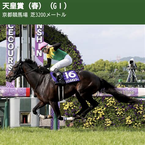 天皇賞春 アカリンの競馬