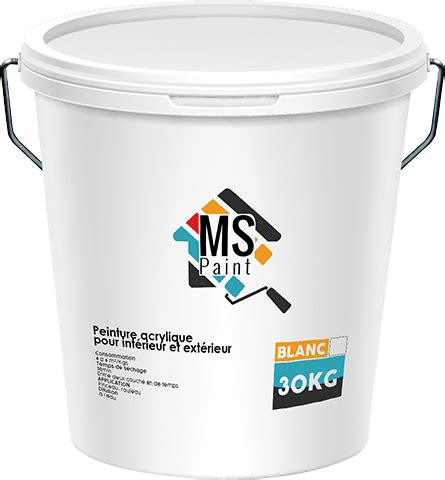 Peinture A Leau MS Paint 30kg Blanc Bricodis