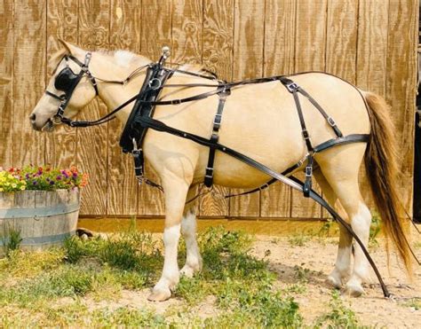 Farmwork Harness For Horses Mini Through Draft Chimacum Tack