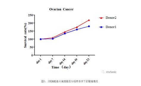 三维细胞培养技术突破之卵巢癌原代细胞 知乎