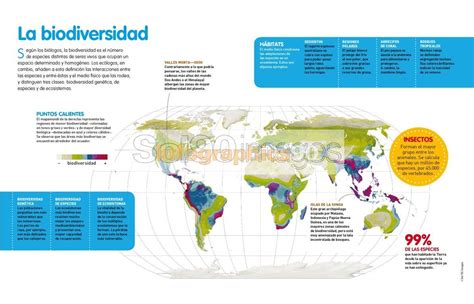 Infografía Biodiversidad Infographics90