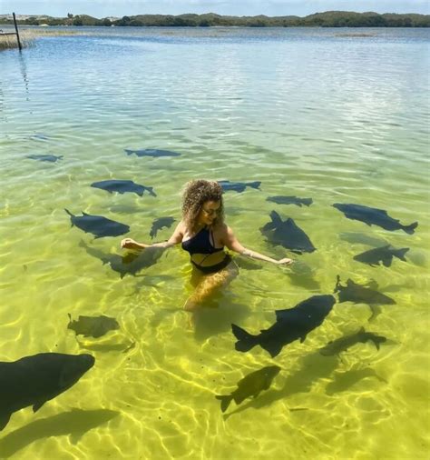 Lagoa Dos Tambaquis Um Para So Incr Vel Em Sergipe