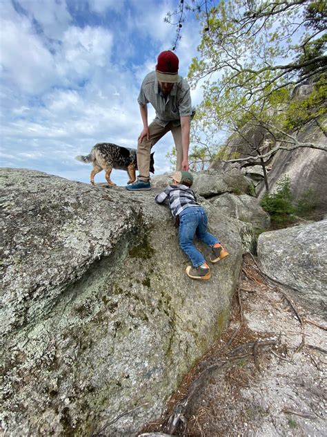 The Adventures of Bushwhack Jack: 2020-04-05 Big Rock Mountain Hike