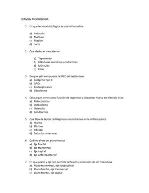 Examen De Morfolog A Indica Caracter Sticas Acerca De La Posici N