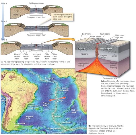 Seafloor Spreading Occurs When Two Plates