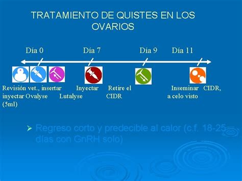 Hormonas Ecp Cada Ml Contiene Cipionato De Estradiol