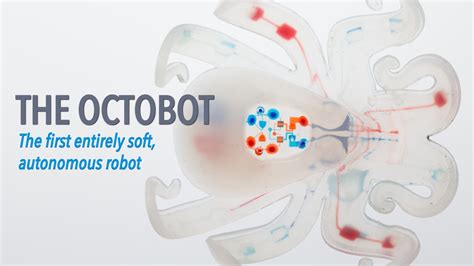 The First Autonomous Entirely Soft Robot