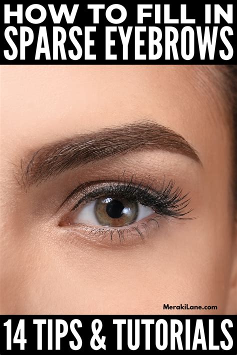 How To Fill In Sparse Eyebrows 14 Tips And Tutorials Ombre Eyebrows