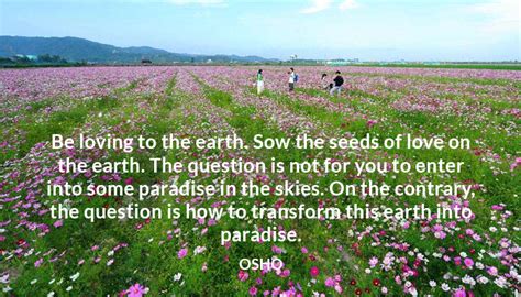 Osho Insight Osho Quotes On Meditation Friendship Watchfulness