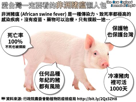 愛台灣一定要看的非洲豬瘟懶人包 Brief Summary Of African Swine Fever Nejs